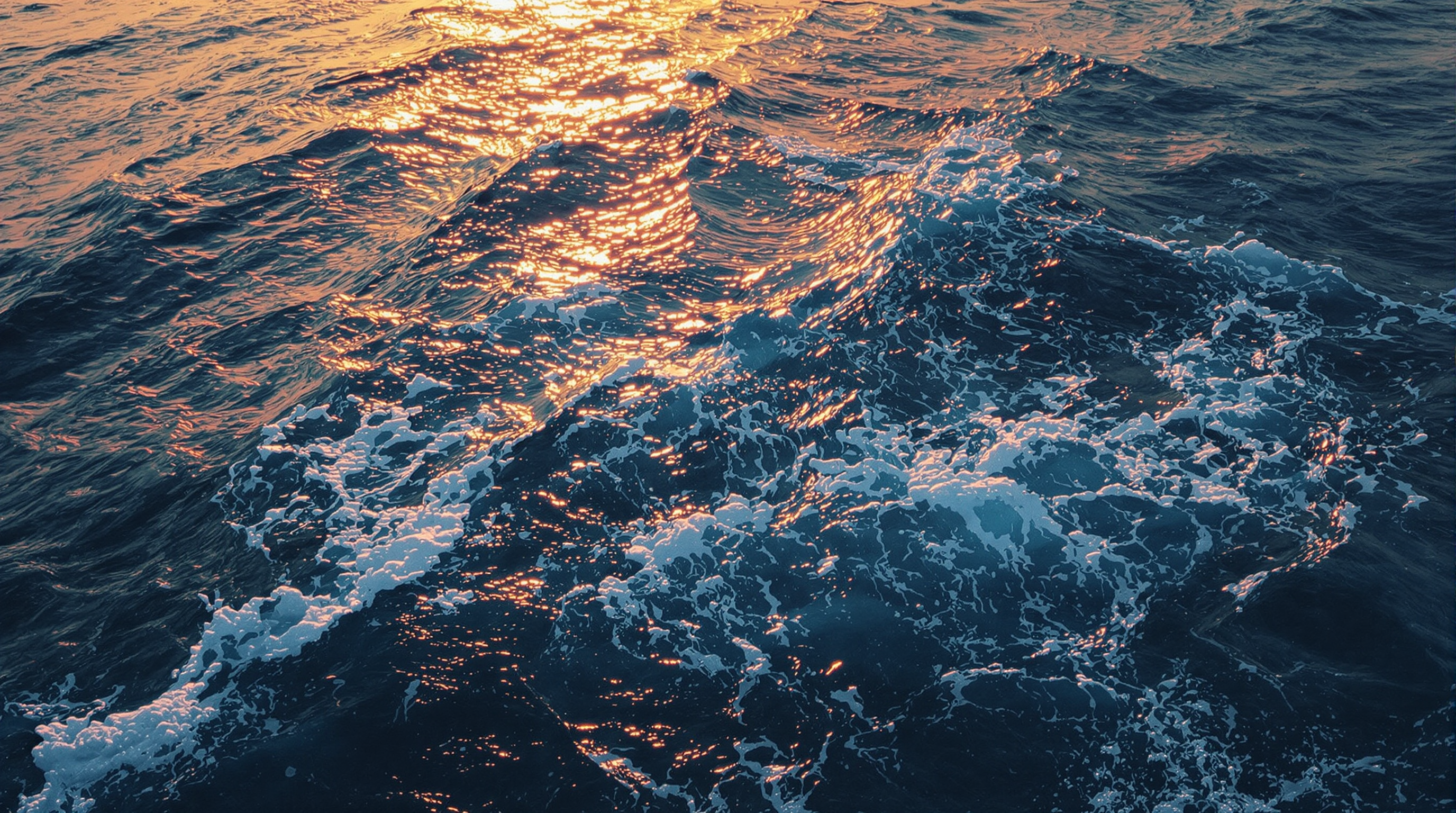 Tidal Survival tournament background